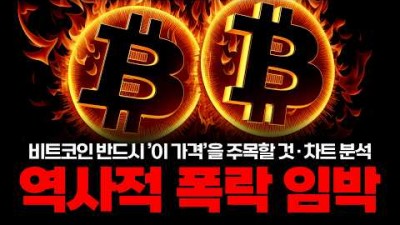 비트코인 결국 -20% 폭락장? 저는 이렇게 대응하겠습니다