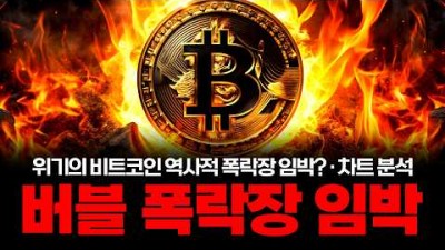 비트코인 2차 연쇄 폭락장? 저는 이렇게 생각합니다