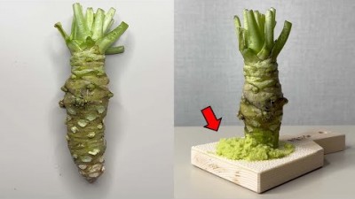 한국인 99%가 오해하고 있는 와사비의 비밀