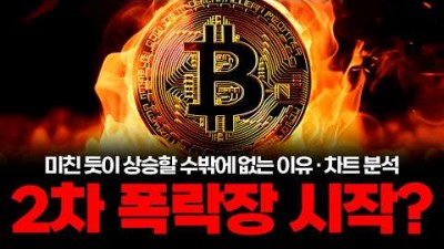 비트코인 곧 폭등